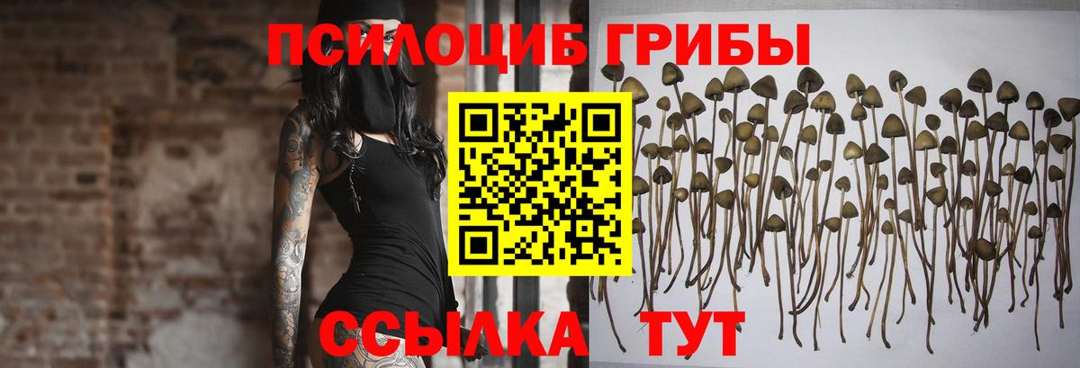 Галлюциногенные грибы GOLDEN TEACHER Хабаровск