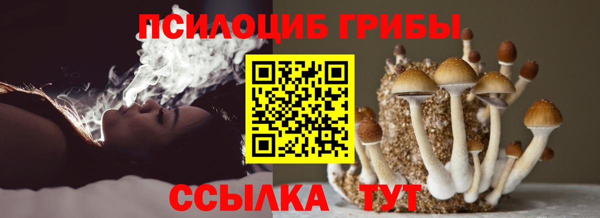 дарнет шоп  Вход с VPN  Псилоцибиновые грибы ЛСД  Хабаровск  Псилоцибиновые грибы Magic Shrooms 